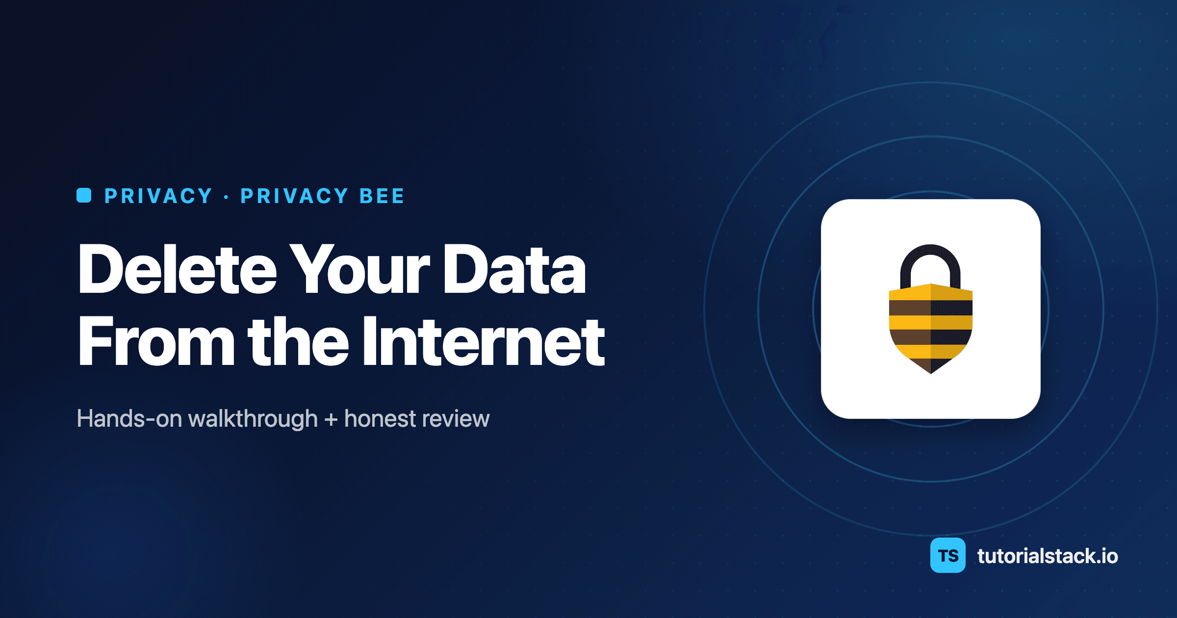 Privacy Bee Tutorial: How to Delete Your Data From the Internet (2026 Review)