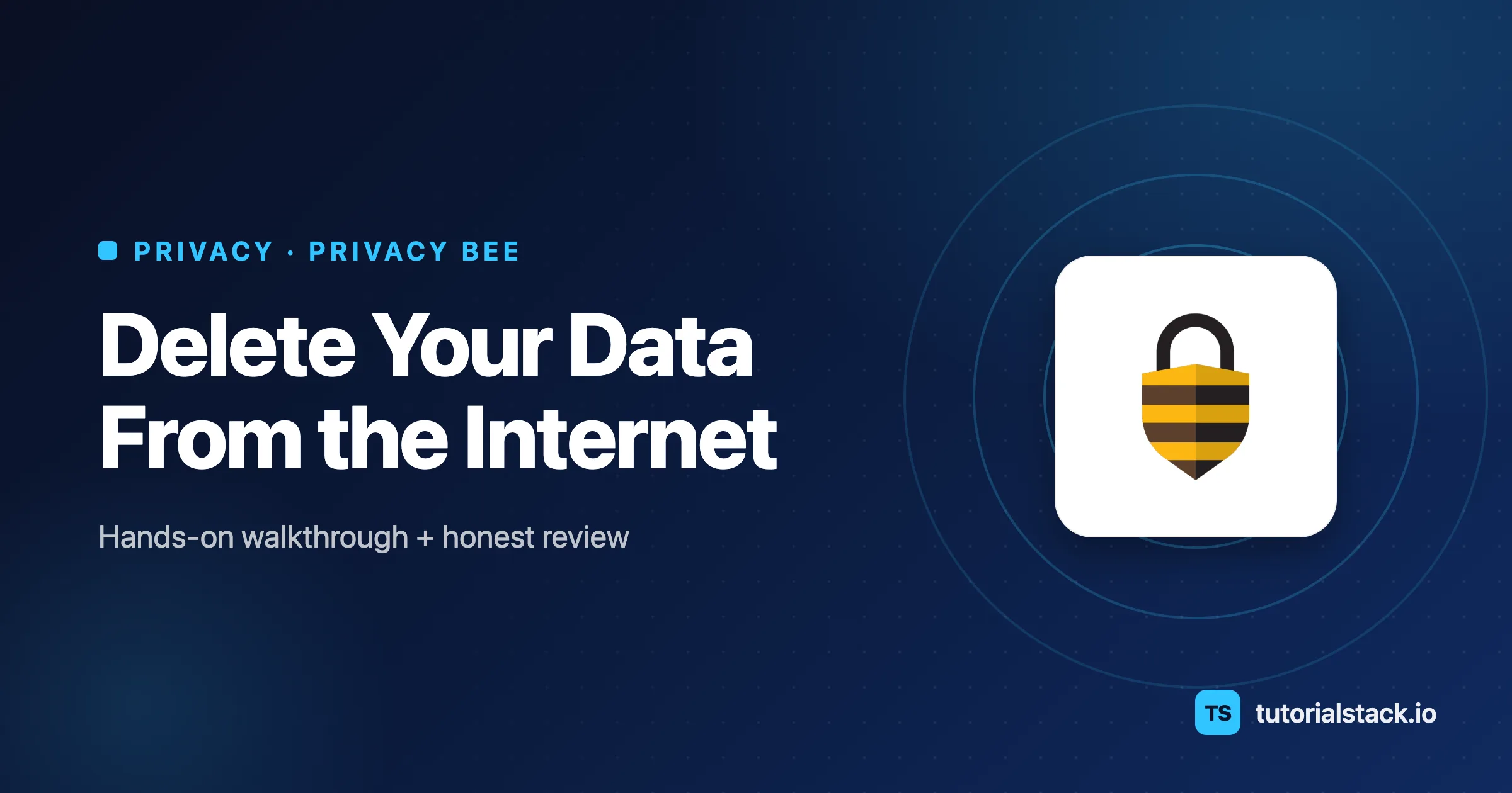 Privacy Bee Tutorial: How to Delete Your Data From the Internet (2026 Review)